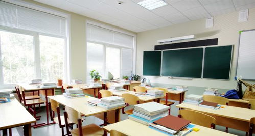 关于放宽民办文化艺术类校外培训机构办学面积限制的建议